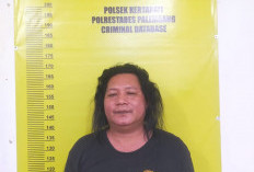 Modus Bisa Gandakan Uang Bermodal Jenglot dan Minyak, Pria di Palembang Raub Keuntungan Ratusan Juta Rupiah 