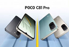 HP POCO C81 Pro Sudah Bisa Dibeli Hari Ini, Harga Murah Sudah Serba Besar di Baterai, Layar & Memori   