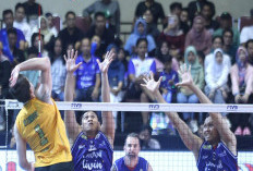 Grand Final Proliga 2026, Leg Pertama Pertemukan Jakarta LavAni vs Jakarta Bhayangkara Presisi