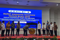 Modernisasi Pelabuhan: Platform DERMAGA Jadi Kunci Atasi Masalah TKBM