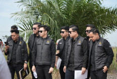 SHM Terbitan 2008 Bisa Kalah dengan SPH 2019 Usai Digugat Perusahaan di Peradilan  ‎