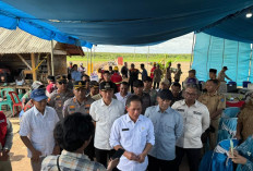 Ke Desa Jadi Mulya Air Sugihan OKI, Menteri LH Cek Percontohan Buka Lahan Tanpa Membakar
