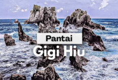 Ini Ternyata 6 Alasan Pantai Gigi Hiu Lampung Jadi Primadona Destinasi Wajib bagi Fotografer Profesional Dunia