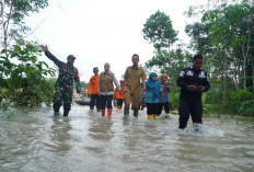 Pulihkan Sawah Terdampak Banjir, Bupati OKI Salurkan 142 Ribu Benih Padi