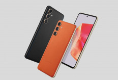 Samsung Galaxy C55 5G Rekomendasi Ponsel Canggih yang Hadir Dengan Beragam Fitur Unggulan 