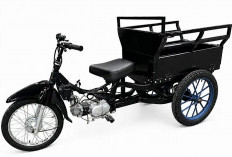 Motor Roda Tiga Tangguh Buat Berkebun, VIAR R3K Minimalis Tapi Tenaganya Gacor