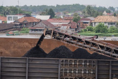 PTBA Jaga Kinerja dan Perkuat Portofolio Bisnis, Cetak Pendapatan Rp 22,03T di Semester I 2026