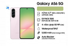Harga Galaxy A56 5G Terbaru November 2025: Layar Super AMOLED 120Hz, Chipset Exynos 1580!