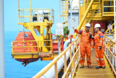 19 Tahun PHE, Perkuat Ketahanan Energi Nasional Melalui Kinerja Hulu Migas yang Tangguh