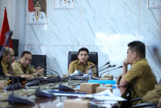 Bupati Ogan Ilir Instruksikan Pos-Pos Karhutla Disiagakan, Minimalisir Risiko Gangguan Kesehatan