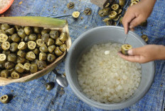 Fakta atau Mitos? Kolang-Kaling Disebut Ampuh Redakan Nyeri Sendi, Ini Pejelasan dan Cara Mengolahnya