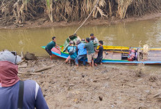 Mencekam! Perahu Nyaris Tenggelam Dihantam Buaya Muara, Suami Hilang Diseret ke dalam Sungai di Banyuasin