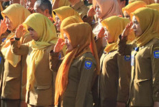 Wajib Tahu! Honorer PNS R2, R3, R4 Bisa Diangkat PPPK Paruh Waktu, Ini Syaratnya