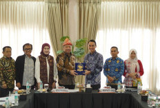 Bupati OKI Suarakan Kesejahteraan Guru PPPK Paruh Waktu ke Komisi X DPR RI