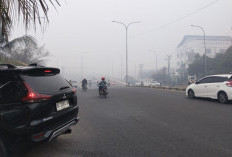Kabut Asap Terparah Selimuti Udara Palembang, Jarak Pandang 100 Meter