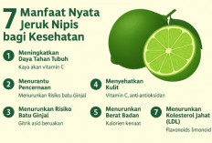 Bukan Mitos! Ini 7 Manfaat Nyata Jeruk Nipis untuk Kesehatan Tubuh
