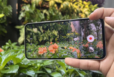 Tips untuk Merekam dengan Ponsel, Hasilkan Video Layaknya Profesional!