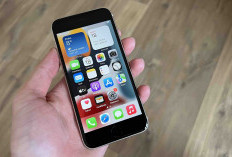 7 Seri iPhone Turun Harga Di Juni 2025, Sekarang Hanya Rp 5 Jutaan!