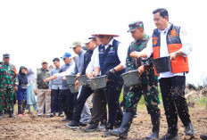 Motoran ke Banyuasin, Gubernur Herman Deru Turun Langsung Tanam Padi hingga Safari Jumat
