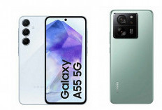 HP Samsung Galaxy A55 5G: Harga dan Spesifikasi Terbaru di Juni 2025