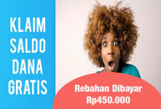  Rebahan Diganjar Saldo DANA Gratis Rp450.000, Padahal Cuma Isi Kuisioner dari Survei Online!