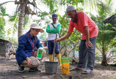 Dorong Produktivitas, PT Pusri Gencarkan Edukasi Pemupukkan Berimbang