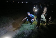 Tersengat Alat Setrum Ikan di Areal Persawahan Warga Desa Tugu Mulyo OKI Tewas