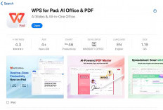 Tidak Expect Tampilan WPS PC Level di IPad, Ternyata Formatnya Bagus, Bisa Sematkan Simbol & Rumus