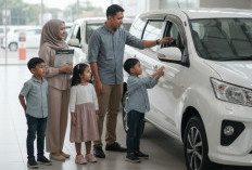 Jangan Salah Pilih, Ini Tips Cari Mobil Bekas 7 Seater yang Nyaman Buat Mudik 2026
