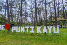 PUNTI KAYU, Hutan Wisata Alam di Tengah Kota yang Perlu Sentuhan Ajaib 