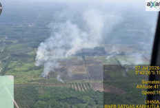 Karhutla Terjadi di 5 Kecamatan Kabupaten OKI, Angin Kencang Hanguskan Hektaran Lahan