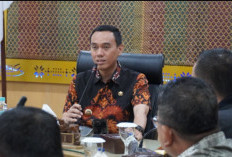 Konflik Gajah-Manusia di Air Sugihan Pemkab OKI dan BKSDA Perkuat Upaya Mitigasi