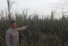 Titik Panas Terdeteksi di Lokasi Kebun Tebu PTPN VII Cinta Manis Ogan Ilir, Polsek Tanjung Batu Cek Lokasi