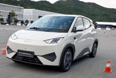 Seagull 2026 Resmi Diperkenalkan, City EV Canggih Ini Diprediksi Segera Hadir di Indonesia