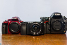 Ini Rekomendasi Kamera Mirrorless Harga Terjangkau Cocok untuk Konten Kreator, Ada Sony A6000