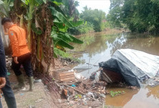 Curah Hujan Tinggi di Ogan Ilir Sebabkan Tanah Longsor, 2 Rumah Warga Roboh dan Tertimbun Material