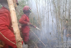 September dan Oktober Puncak Kemarau, Karhutla Terus Meluas 