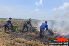 8 Hektar Lahan Terbakar di Desa Riding Pampangan OKI Berhasil Dipadamkan Babinsa