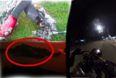NGERI, Balapan Liar di Belitang Sepeda Motor ‘Adu Kambing’ 2 Pengendara Terkapar Tanpa Nyawa