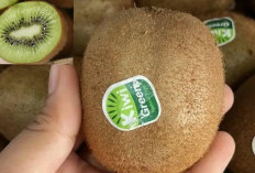WAJIB TAHU, Berikut Ini 10 Daftar Buah yang Aman dan Berbahaya untuk Penderita Diabetes 