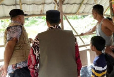 Warga Tanah Mas Banyuasin Digegerkan Kemunculan Buaya Sepanjang 4 Meter