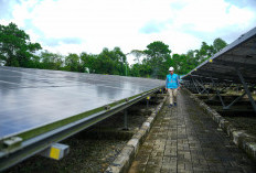 PLN Dukung Transisi Energi dan  Akses Listrik Merata di Sumsel Dihadapan Panja Ketenagalistrikan DPR RI
