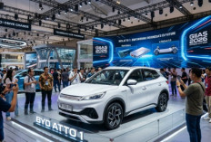 BYD Atto 1 Bikin Ulah Pasar EV! Mobil Listrik Rp 100 Jutaan jadi Ancaman Serius Toyota Agya