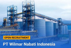 Lowongan Kerja Maret 2025, Peluang Karir Semua Jenjang Pendidikan di PT Penguin Indonesia dan Wilmar Nabati