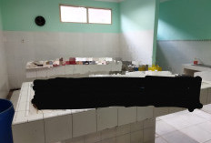 Lawan Arah Diduga Picu Lakalantas Maut di Kertapati Palembang, Ibu dan Anak Tewas Sopir Truk Diamankan