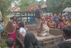 Penemuan Tengkorak Manusia di Mangun Jaya OKI Hebohkan Warga