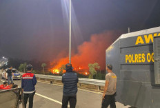 8 Hektare Lahan Terbakar di Ibul Besar III Ogan Ilir, Angin Kencang dan Minim Air Jadi Hambatan Petugas