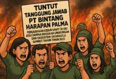 Aktivis Lingkungan Desak Penegakan Hukum Tegas Dampak Serius Karhutla PT Bintang Harapan Palma OKI