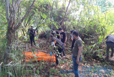 Mayat Wanita yang Ditemukan di Semak-Semak Ternyata Warga Kayuagung, Pamit Melamar Bekerja