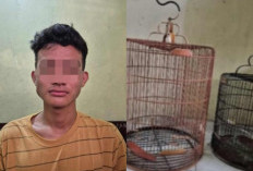 Curi Burung Milik Mantan Anggota DPRD Ogan Ilir Senilai Rp 10 Juta, Pemuda Ini Diamankan Polsek Tanjung Raja